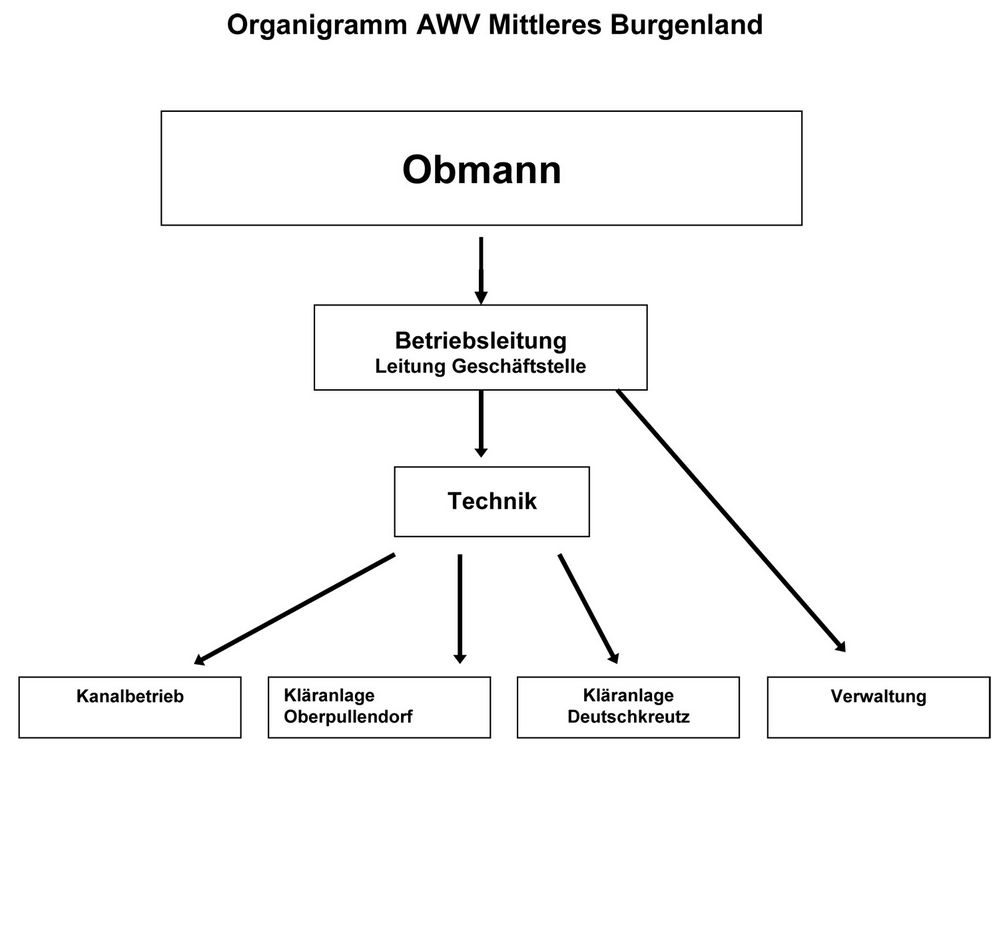 Organigramm